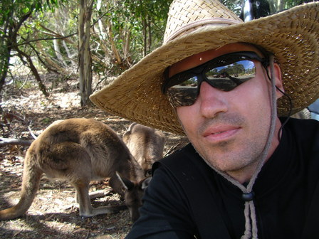 14.01.2007 - Pas timides, ces kangourous ! Flinders Chase. Kangaroo Island.