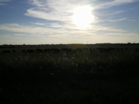 IMGP0329.JPG
