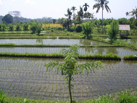 IMGP0621.jpg