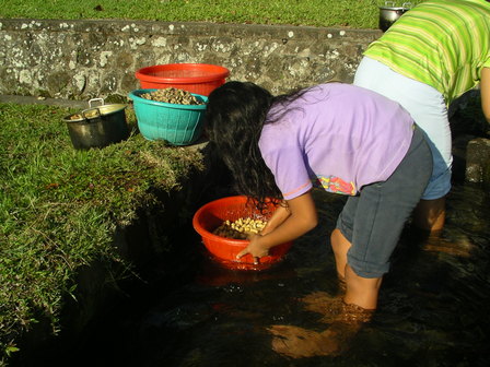 IMGP0623.jpg