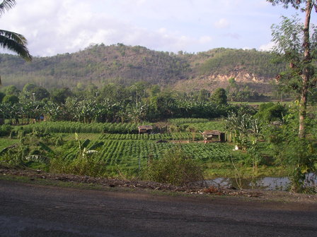 IMGP0751.JPG