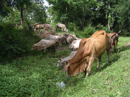 IMGP0319.jpg